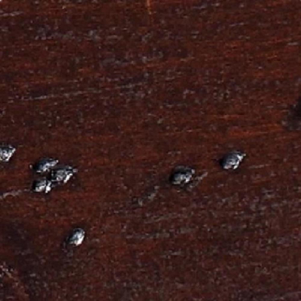 Wood Sample - Antique Walnut Swatch James Martin Vanities 